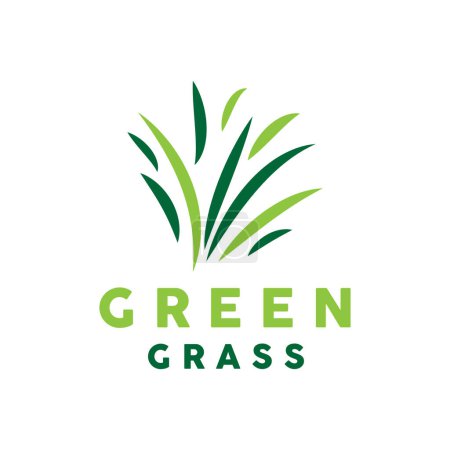 Illustration for Green Grass Logo, Nature Plant Vector, Agriculture Leaf Simple Design, Template Icon Illustration - Royalty Free Image