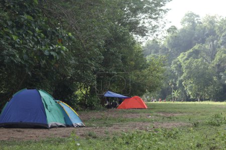 Zelte auf einem Feld mit Bäumen im Hintergrund