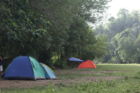 Zelte auf einem Feld mit Bäumen im Hintergrund