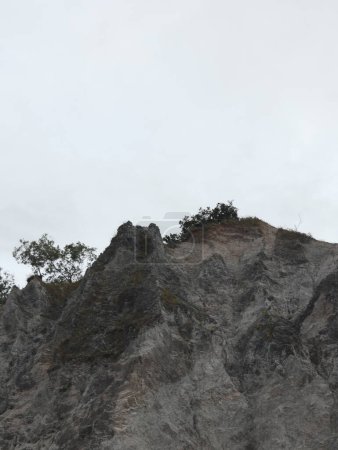 Photo for Rocky cliff with trees on a cloudy day. Natural background. - Royalty Free Image