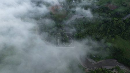 Aerial view of the road in the forest with fog and cloud