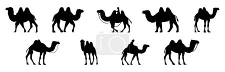 Ilustración de Colección de Camello icono. Silueta de camello - Imagen libre de derechos