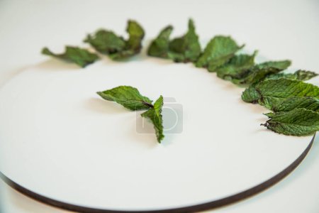 Mint leaves arranged on a white circular plate in a decorative way.