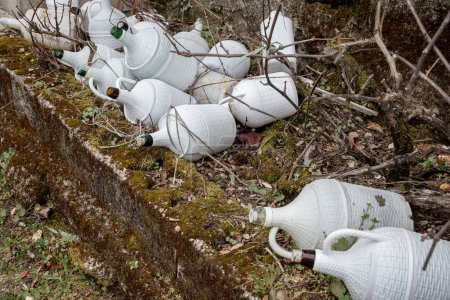 Photo for Set of old and unused wine demijohns left at random in a vineyard. Bottles waiting to be recycled and later reused. - Royalty Free Image