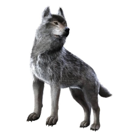 Photo for Warg wolf painted 3D render - Royalty Free Image