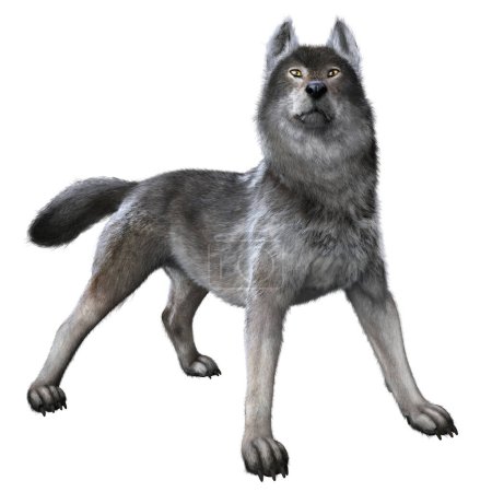 Photo for Warg wolf painted 3D render - Royalty Free Image
