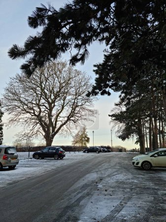 Téléchargez les photos : Aérien à Angle Haut du Parc Public Wardown le Jour D'hiver - en image libre de droit