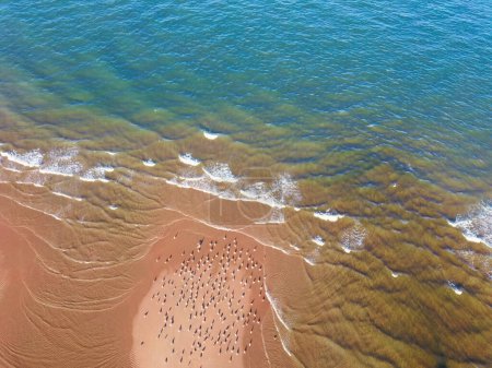 Téléchargez les photos : Belle vue sur la côte de mer - en image libre de droit