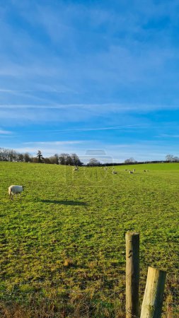 Photo for High Angle View of English Countryside at Sunny Day - Royalty Free Image