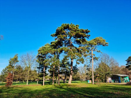 Photo for Beautiful View of Public Park at Bedford - Royalty Free Image