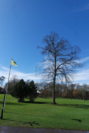 Foto de Parque Público Local y hermosos árboles un día claro y frío de marzo de 2023 en Luton Town of England Reino Unido. - Imagen libre de derechos