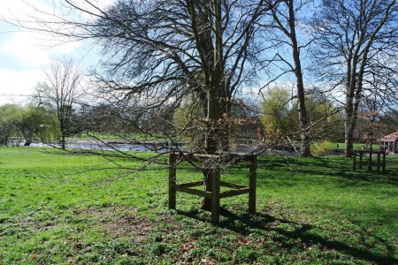 Foto de Local Public Park en Leagrave Luton Town of England Reino Unido - Imagen libre de derechos