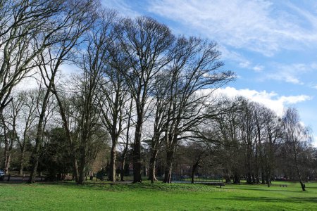 Téléchargez les photos : Parc public local à Leagrave Luton Town of England Royaume-Uni - en image libre de droit