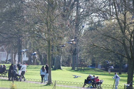 Téléchargez les photos : Parc public local de Bedford Ville d'Angleterre - en image libre de droit