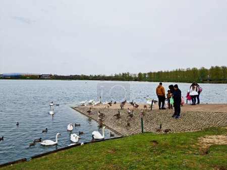Téléchargez les photos : Willen Lake Public Park Milton Keynes, Angleterre Royaume Uni - en image libre de droit