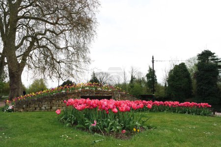 Foto de Hermosa vista del parque público local con flores - Imagen libre de derechos