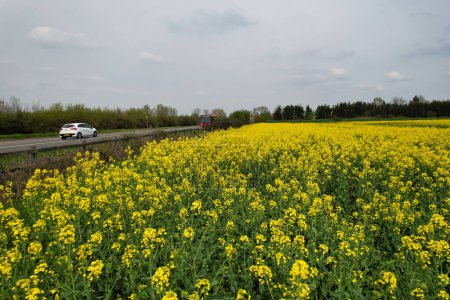 Foto de Bedford, Inglaterra, Reino Unido - 22 de abril de 2023: British Countryside Farms - Imagen libre de derechos