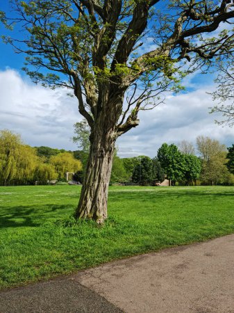 Foto de INGLATERRA, Reino Unido - 10 MAY, 2023: hermosa vista del parque de primavera - Imagen libre de derechos