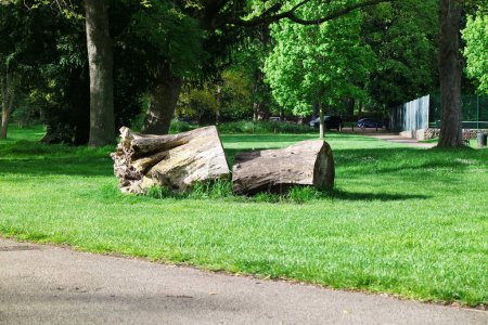 Téléchargez les photos : Luton, Angleterre, Royaume-Uni - 2 octobre 2022 : Wardown Public Park au printemps - en image libre de droit
