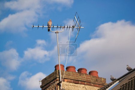 Téléchargez les photos : Antenne sur le toit de la maison dans la ville - en image libre de droit