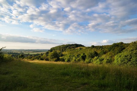 Téléchargez les photos : Le plus beau paysage de campagne britannique à Sharpenhoe Clappers Valley en Angleterre Luton, Royaume-Uni. Image a été prise le 24 juin 2023 - en image libre de droit