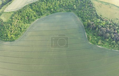 Téléchargez les photos : Fermes agricoles britanniques de Sharpenhoe Clappers Paysage rural À proximité Luton City of England Grande-Bretagne du Royaume-Uni. Des images ont été prises avec la caméra du drone le 24 juin 2023 - en image libre de droit