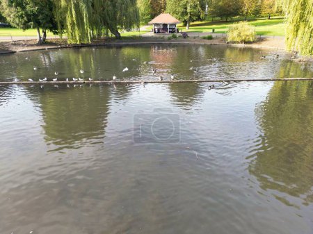 Téléchargez les photos : Cute Water Birds at The Edge of Lake Water of Wardown Park at Luton Town of England Royaume-Uni. L'image a été capturée un jour ensoleillé du 10 octobre 2023 - en image libre de droit