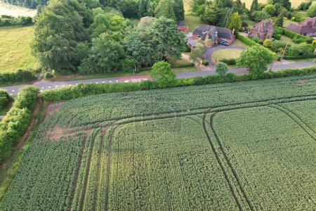 Foto de Granjas agrícolas británicas de Sharpenhoe Clappers Paisaje rural Cerca de Luton City of England Gran Bretaña del Reino Unido. Capturado con la cámara de Drone el 26 de junio de 2023 - Imagen libre de derechos