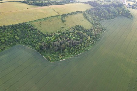 Foto de Vista de ángulo alto más hermosa del paisaje de la campiña británica en Sharpenhoe Clappers cerca de Luton City of England Gran Bretaña. Imagen capturada el 26 de junio de 2023 - Imagen libre de derechos