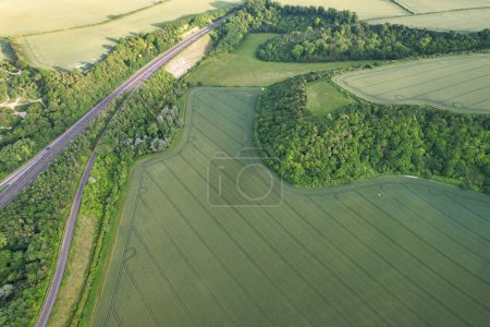 Photo for Most Beautiful High Angle view of British Countryside Landscape at Sharpenhoe Clappers Near Luton City of England Great Britain. Image Captured on June 26th, 2023 - Royalty Free Image