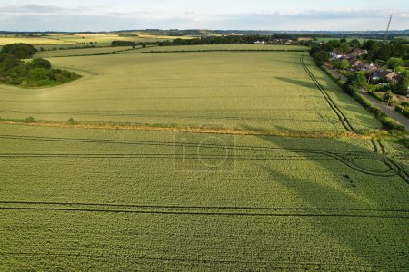 Téléchargez les photos : La plus belle vue à angle élevé du paysage de campagne britannique à Sharpenhoe Clappers près de Luton City en Angleterre Grande-Bretagne. Image prise le 26 juin 2023 - en image libre de droit