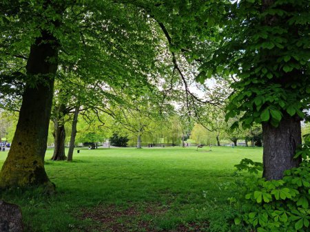 Photo for Low Angle view of Wardown Public Park of Luton City, England UK. Image Captured on May 7th, 2023 - Royalty Free Image