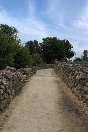 Eine steinerne Straße, die zur Stätte eines antiken Zyperns führt, mit Mauern auf beiden Seiten und Bäumen davor. Der Himmel ist bewölkt.