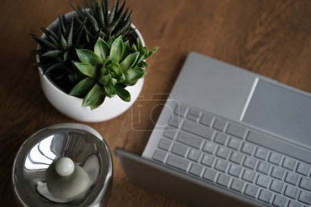 Eine minimale Tischszene von Laptop mit leerem Bildschirm, Ficus im Keramiktopf, Leinenvorhang. Moderne Arbeitsplätze. Gemütlicher Raum.