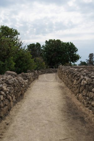Eine steinerne Straße, die zur Stätte eines antiken Zyperns führt, mit Mauern auf beiden Seiten und Bäumen davor. Der Himmel ist bewölkt.