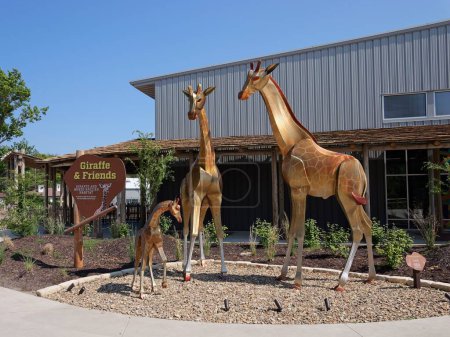 Foto de Topeka, Kansas - 22 de julio de 2023: Exposición de la jirafa y amigos en el zoológico de Topeka - Imagen libre de derechos