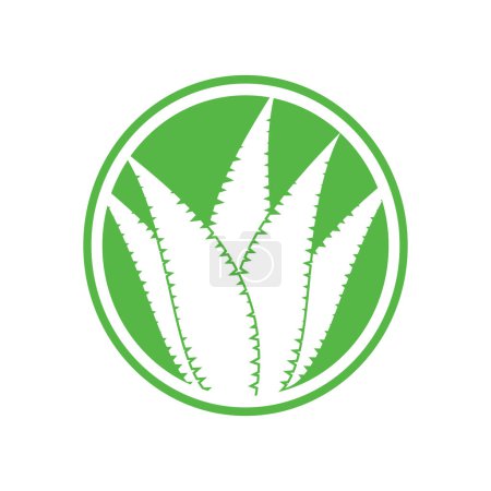 Photo for Aloe vera icon vector illustration template design - Royalty Free Image