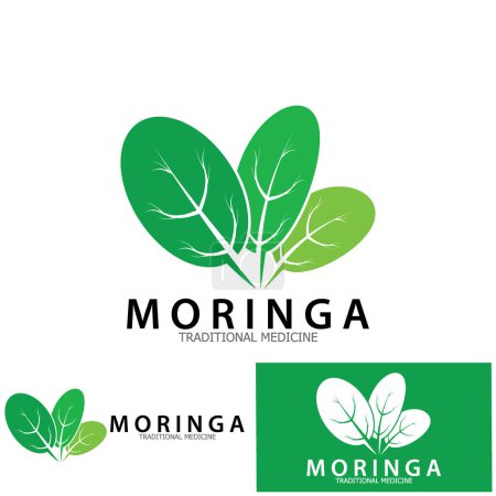 Ilustración de Moringa leaf tradicional medicine icon vector illustration template design - Imagen libre de derechos