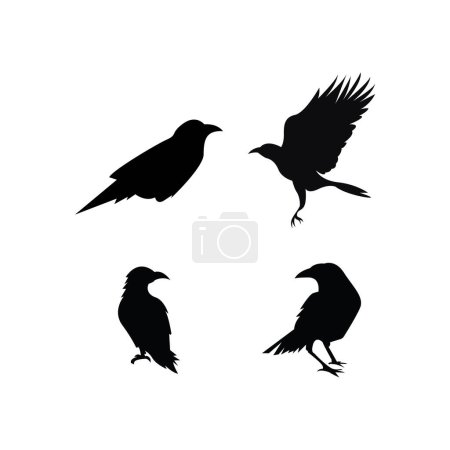 Photo for Black raven icon vector illustration template design - Royalty Free Image
