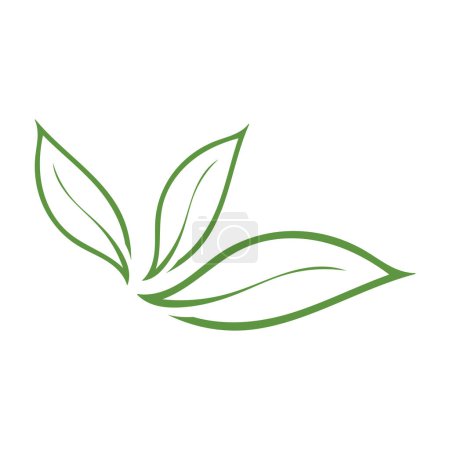 Photo for Leaf ecology  icon vector illustration template design - Royalty Free Image