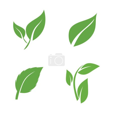 Photo for Leaf nature icon vector illustration template design - Royalty Free Image