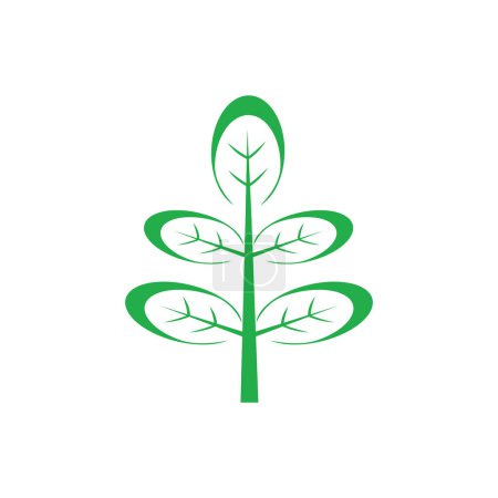Ilustración de Moringa hojas icono vector ilustración plantilla diseño - Imagen libre de derechos