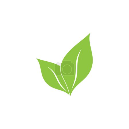 Illustration for Leaf green logo and symbol vector template - Royalty Free Image