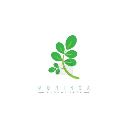 Ilustración de Moringa hoja naturaleza icono vector ilustración plantilla diseño - Imagen libre de derechos