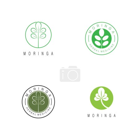 Ilustración de Moringa hoja naturaleza icono vector ilustración plantilla diseño - Imagen libre de derechos