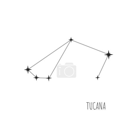 Constellation Tucana scheme in starry sky. Doodle, sketch, linear icons of all 88 constellations on white background