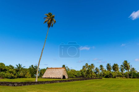 Traditional Hawaiian house with thatched roof amid a tropical landscape of palm trees at Kahanu Garden, Hana, Maui