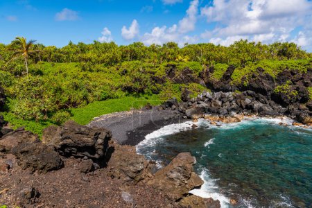 Foto de Playa de arena negra, formaciones rocosas de lava y palmeras sobre una cala con agua azul clara en Maui, Hawai - Imagen libre de derechos