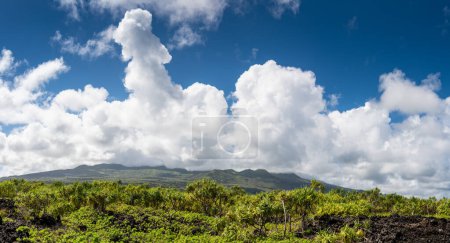 Téléchargez les photos : Panorama de nuages orageux se formant sur des montagnes au-dessus d'un paysage tropical à Maui, Hawa - en image libre de droit