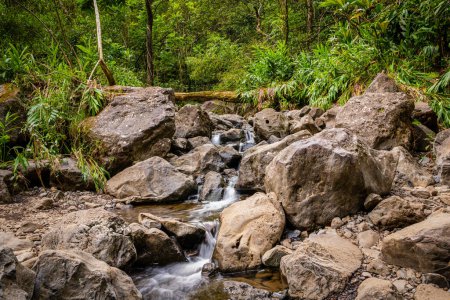 Téléchargez les photos : Scène tranquille d'un ruisseau qui coule sur des rochers et des rochers dans une forêt tropicale luxuriante et verdoyante - Hana, Maui, Hawaï - en image libre de droit